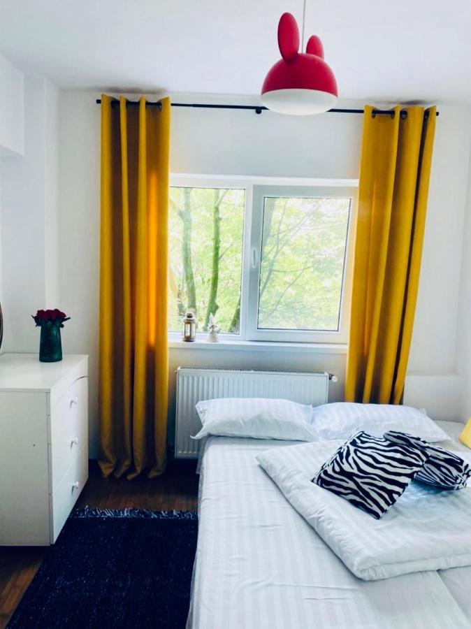 Apartament Lux Crialy - 75 M2 - Free Parking Timişoara Extérieur photo